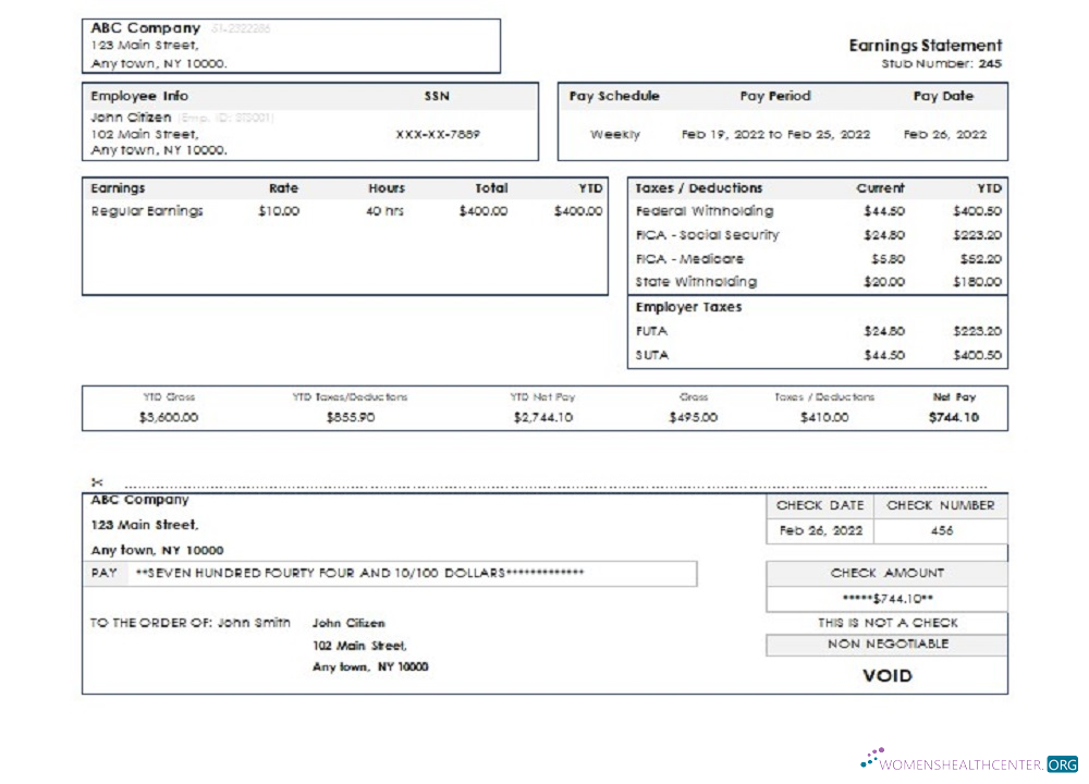 Download USA New York earning statement Photoshop template